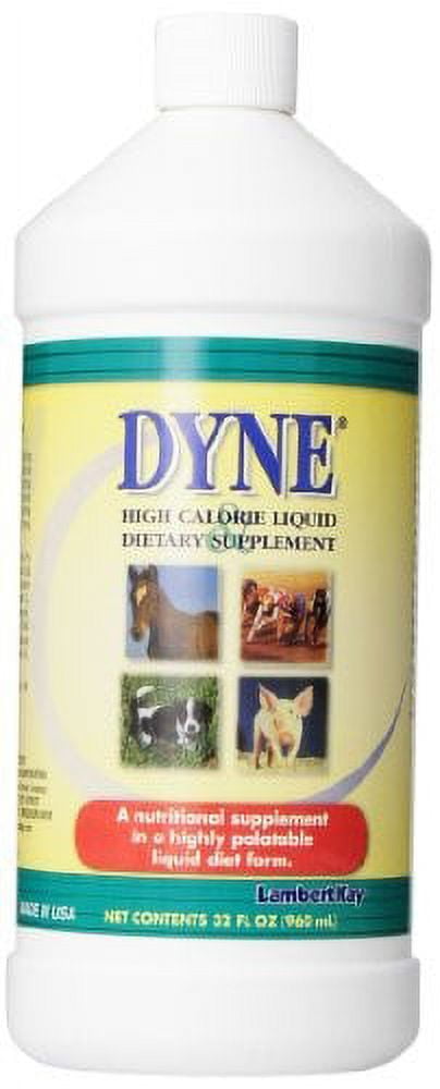 Dyne dog supplement near me sale