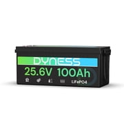 Dyness 24V 100Ah LiFePO4 Lithium Battery, 2560Wh Deep Cycle with 100A Smart BMS for RV Solar Marine