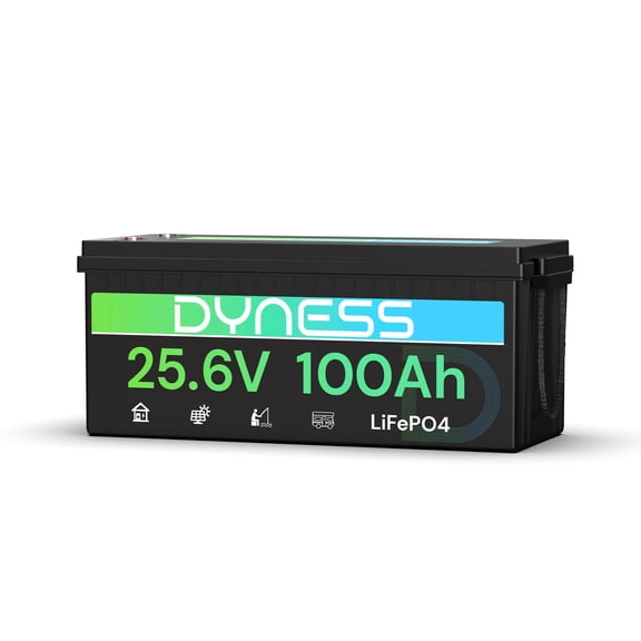 Dyness 24V 100Ah LiFePO4 Lithium Battery, 2560Wh Deep Cycle with 100A Smart BMS for RV Solar Marine