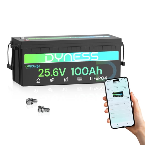 Dyness 24V 100Ah LiFePO4 Lithium Battery with Bluetooth, Deep Cycle Rechargeable Battery with Low-Temp Protection, 2560W Max for Off-Grid Solar, RV, Camper, Trolling Motor, Home Use