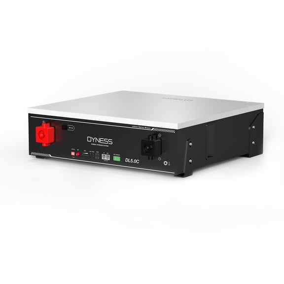 Dyness 48V 100Ah LiFePO4 Lithium Battery, 5.12kWh with 100A BMS, Wi-Fi Monitoring, CAN/RS485, 6000+ Cycles, 5.12kW Power Server Rack Battery for Solar, Off-Grid & Home Backup Power