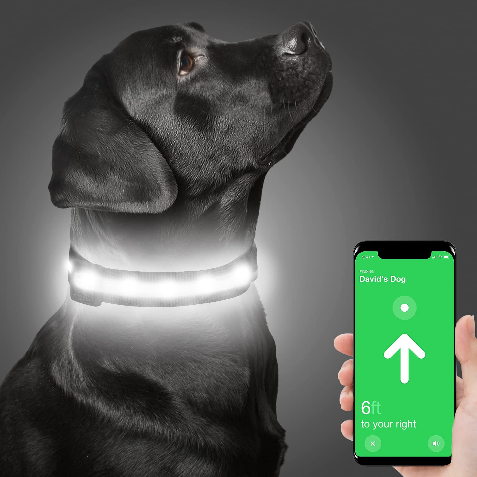 Dynmeow LED Airtag Dog Collar, USB Rechargeable Light up Dog Collar
