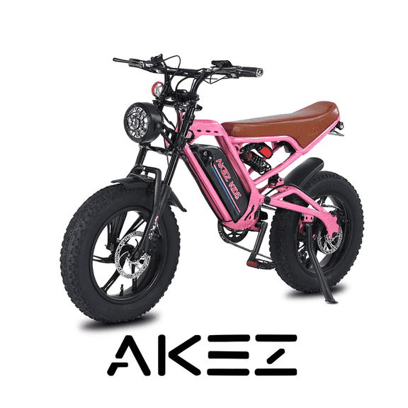 Dyskyn 350W Electric Bike 36V 16Ah Removable Battery 16 Inch Tire Lightweight Compact Commuter E Bike for Adults