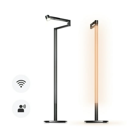 Dyson - Solarcycle Morph Floor Light - Black/Black