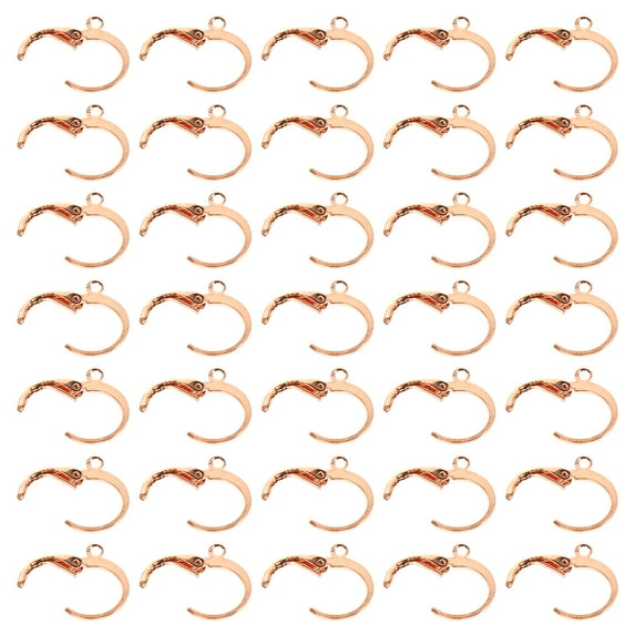 Dytern Jewelry Making 80Pcs Earring Hook Dangle Earwire Lever Back Ear Wire for Jewelry Making