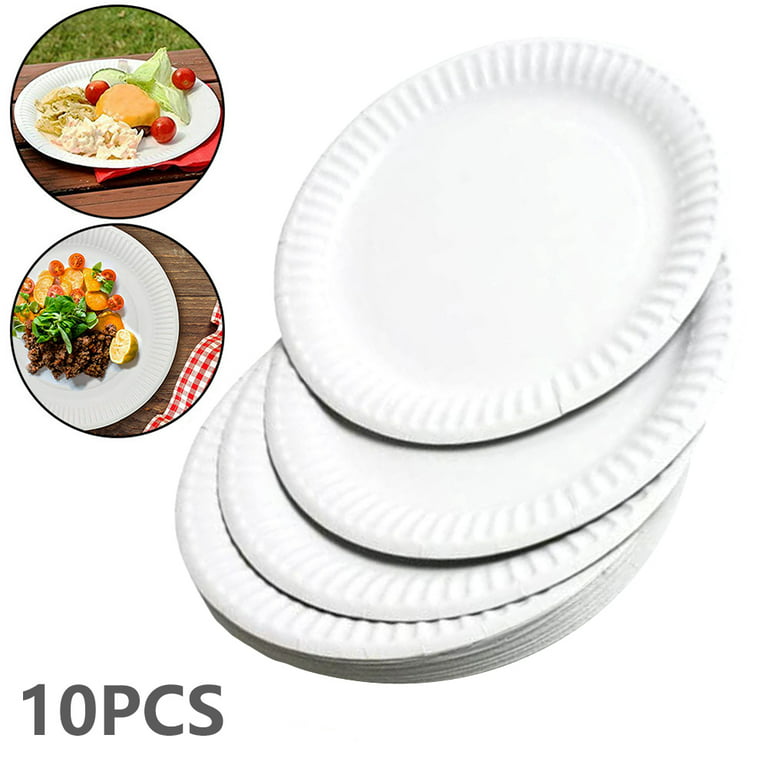 Dznils 10Pcs 8 inch Disposable White Paper Plates Cake Paper Plates  Biodegradable Food Grade Compostable Lightweight Safe for Birthday Party,  Wedding, Picnic, BBQ 