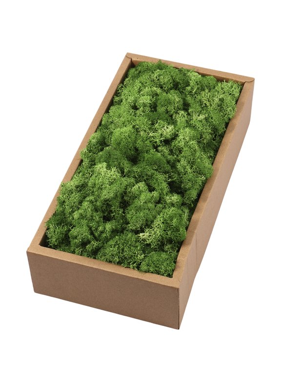 Floral Moss in Floral Arranging