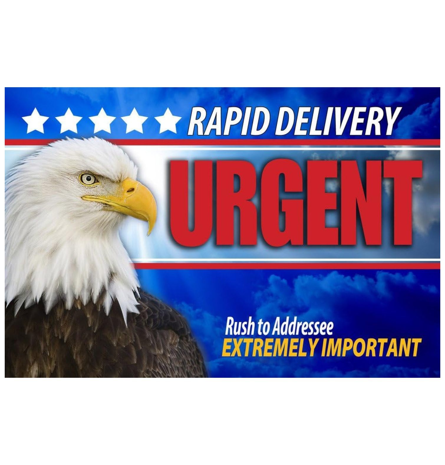 E. 9 x 12 Envelope. 4 Color Envelope. 350/Carton. These Cardboard