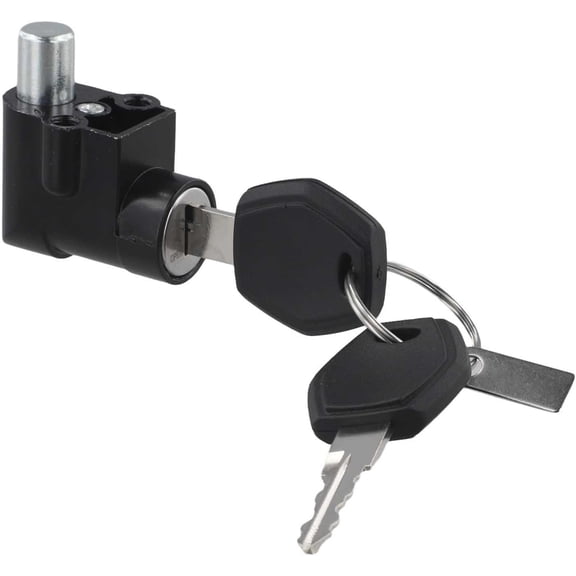E-Bike Battery Case Power Lock and Key Set for 1 and 2, Metal Security Replacement with 11mm and 20mm Options, Silver and Black (20mm)