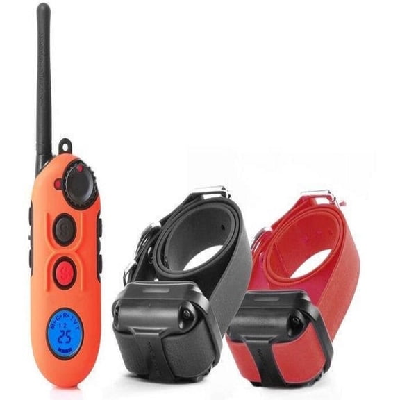 E-Collar Educator PE-902 Pro Remote Dog Training Collar, 2 Dog