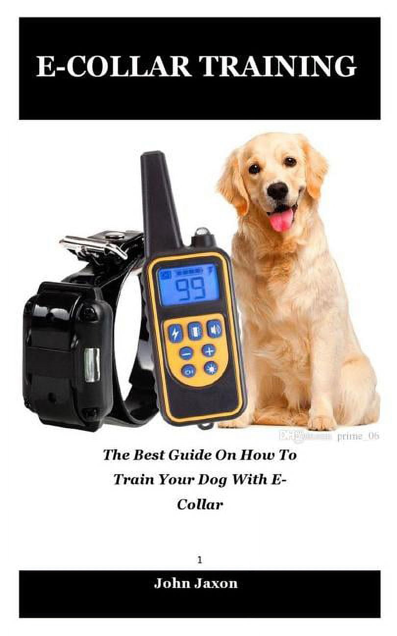 ECollar Training The best guide on how to train your dog with e