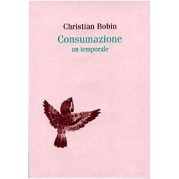 E. D'Agostini,Christian Bobin Consumazione. Un temporale (Paperback)