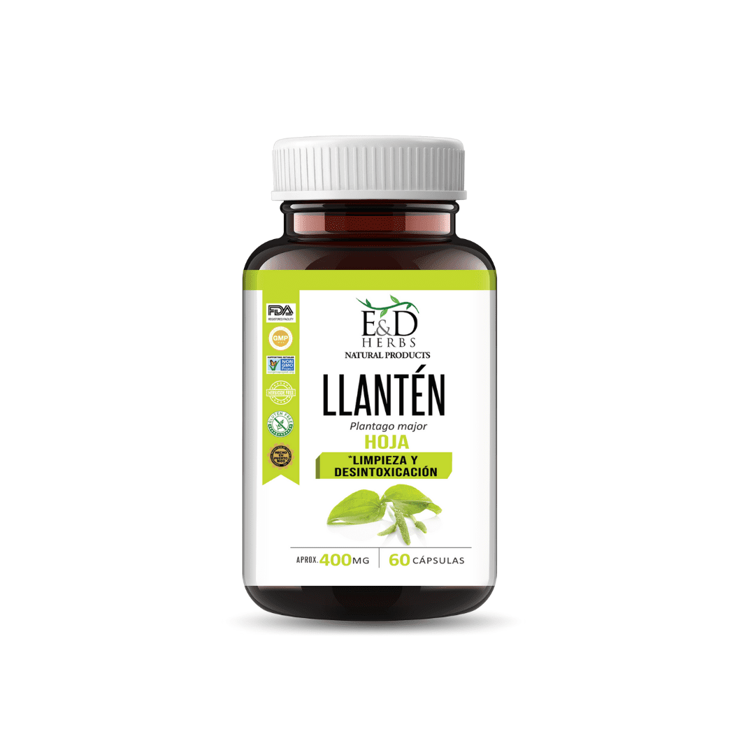 E&D Herbs 60 Plantain  Capsules of 400 MG For Detox