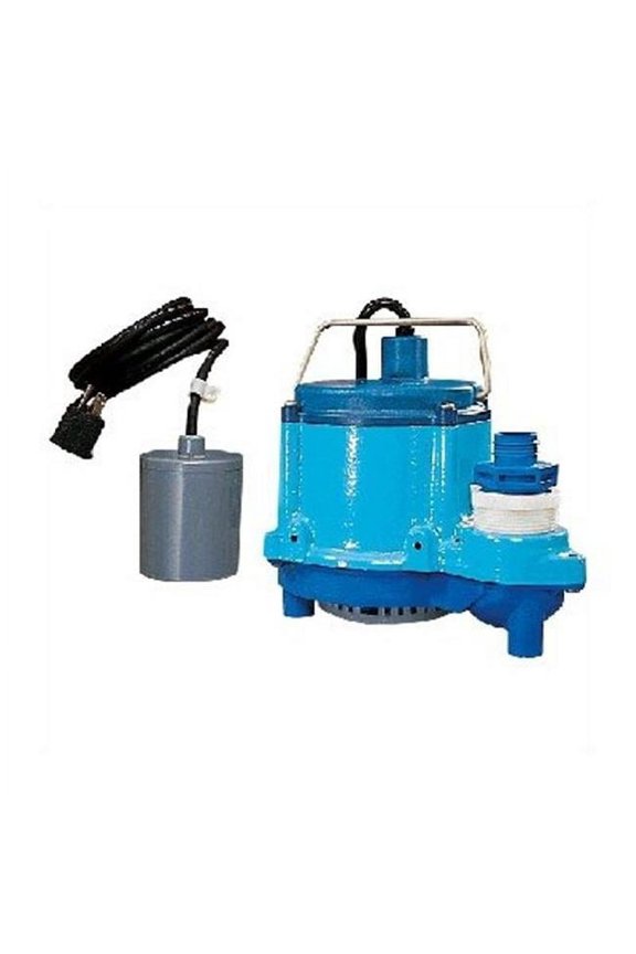 E G  506171 Big John Sump Pump Automatic  2750 Gph