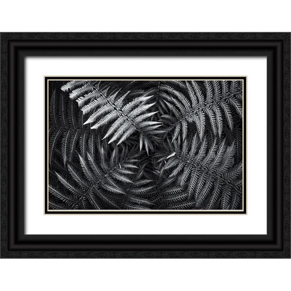 E. Karcz, Gary 14x11 Black Ornate Wood Framed with Double Matting Museum Art Print Titled - Untitled 56