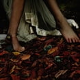 thumbnail image 1 of E-L-R - Vexier - Music & Performance - CD, 1 of 1