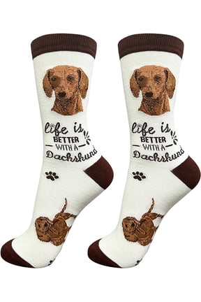 Pet Lover Socks, Life is Better with a Dachshund, One size fits most