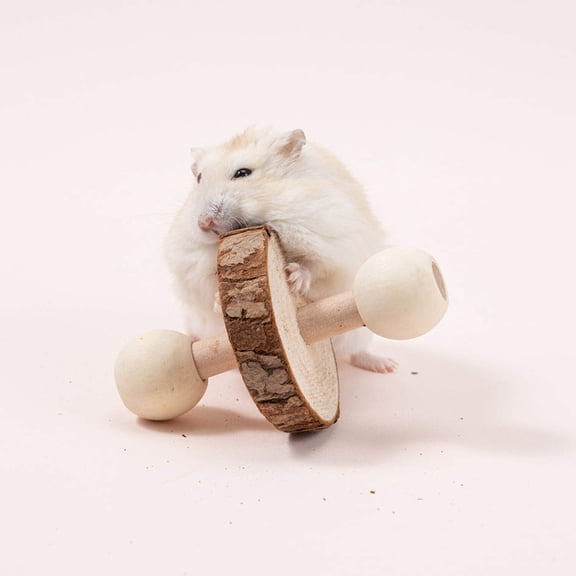 E Y S (7-Pieces) Wooden Toy Set - Eco-friendly Play Combo for Hamsters, Chinchillas, Rabbits,  Guinea-Pigs