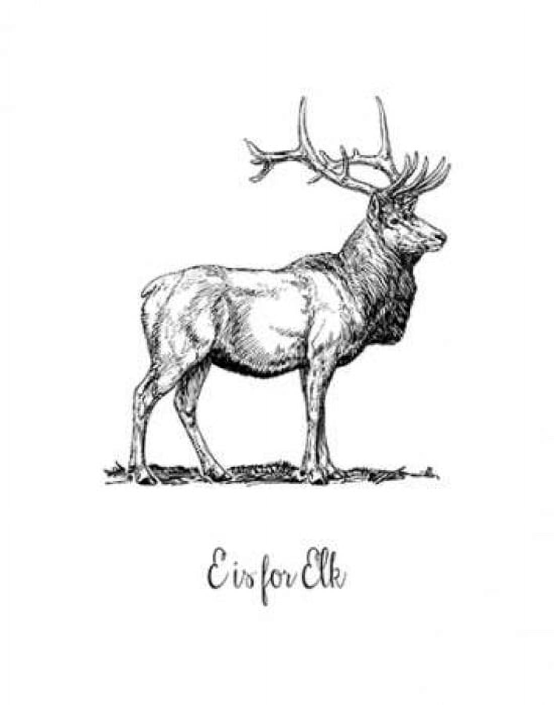 E is for Elk Canvas Art - Tara Moss (22 x 28)