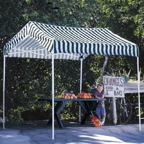 E-z Up 10'x10'canopy
