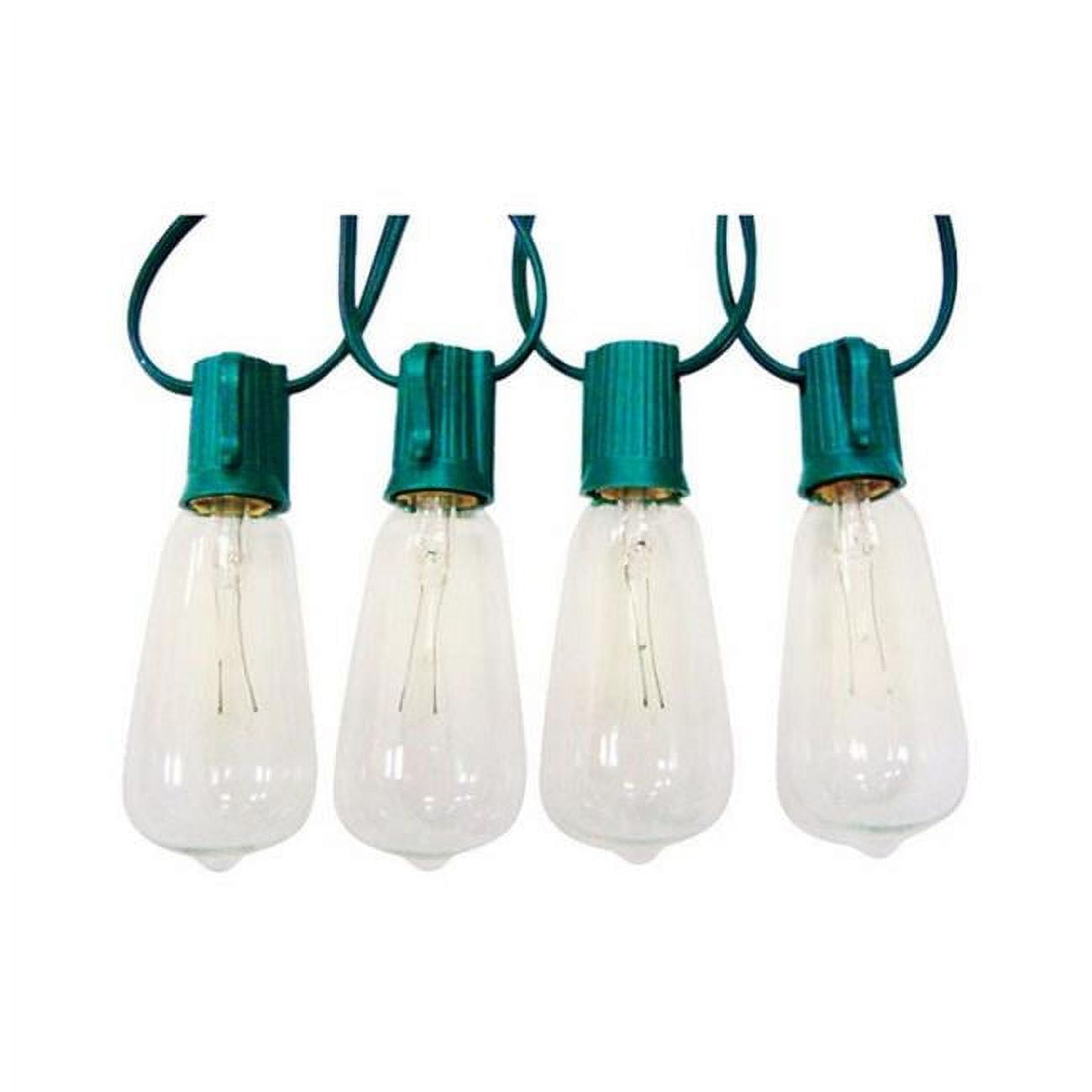 Edison Style Clear G40 Globe Replacement Bulbs, 10-Pack