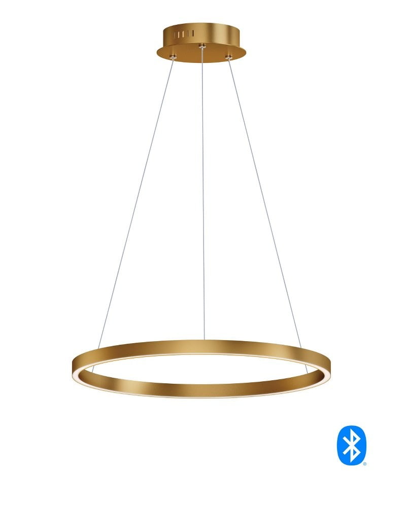 Gold and Black 24" LED Pendant Light with Acrylic Shade