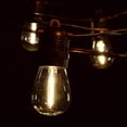 thumbnail image 1 of E26 Commercial String Lights with S14 LED Filament Light Bulbs, 1 of 7