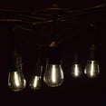 thumbnail image 1 of E26 Commercial String Lights with Suspended S14 LED Filament Light Bulbs, 1 of 8