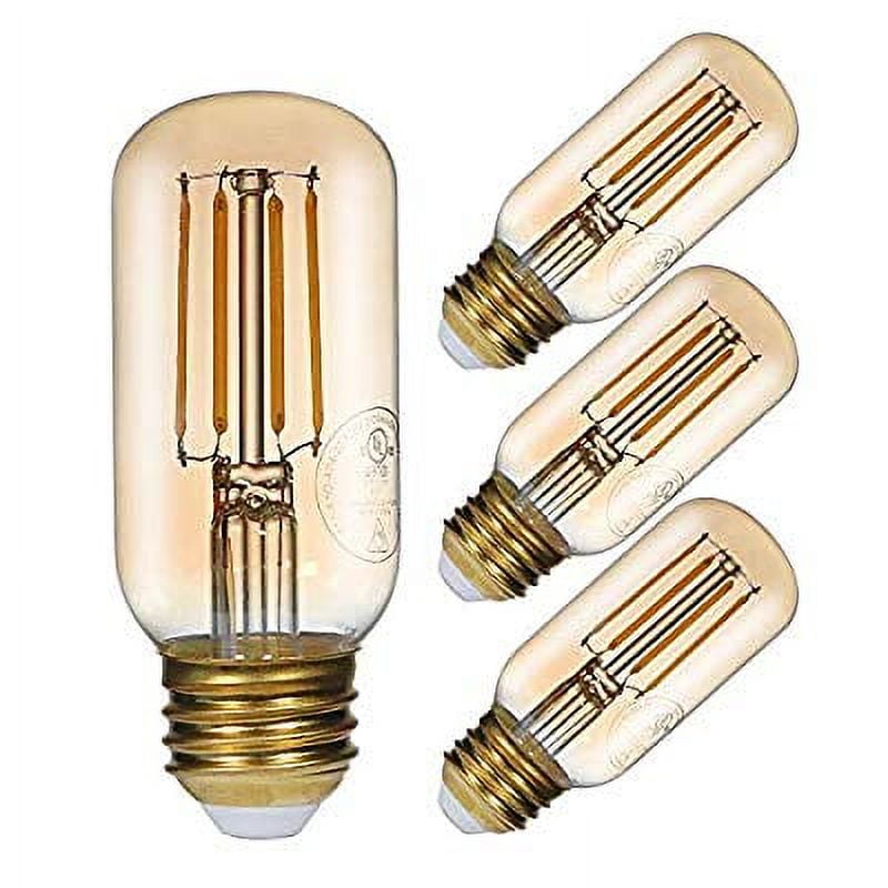 T12 2024 edison bulb