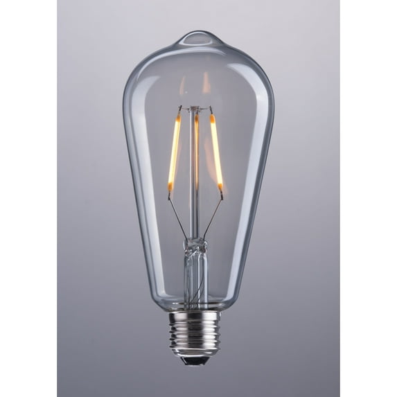ZuoMod E26 ST64 2W 146x64mm LED Light Bulb Clear