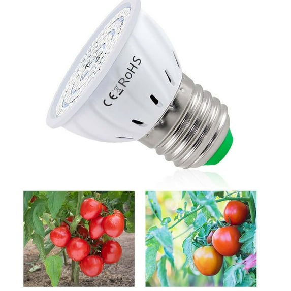 E27 Plant Grow Light for Indoor Succulents Flowers, LED Full Spectrum Bulb with Red Blue Light, Energy Efficient Growth Lamp for Home Greenhouse