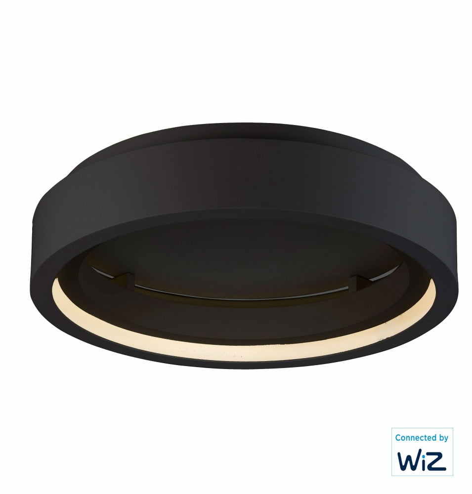 Black Aluminum LED Flush Mount Ceiling Light with Smart Control