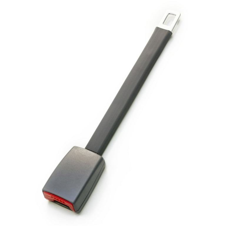 Seat belt extender laws 2025