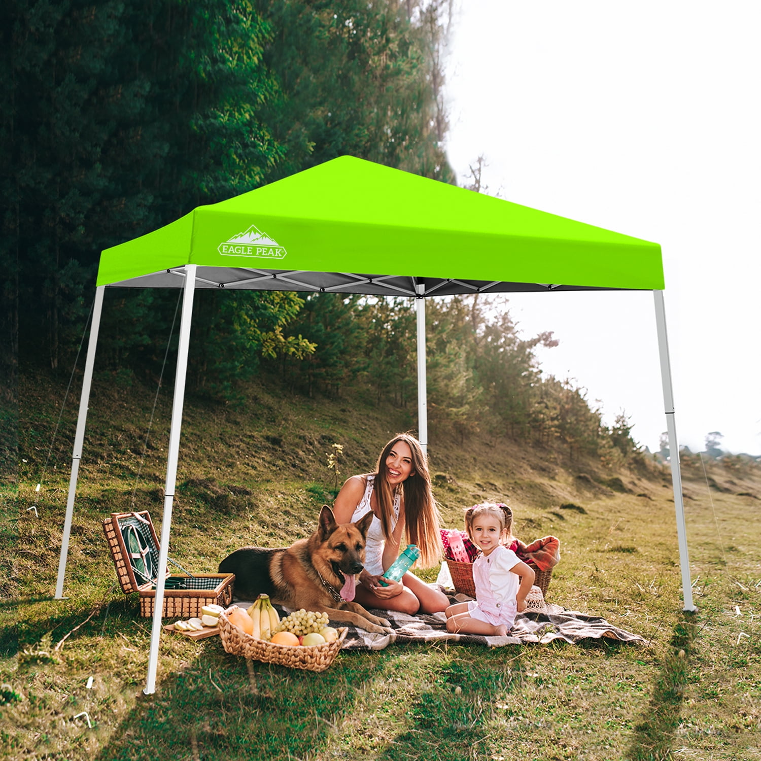 Green 10x10 Steel Portable Pop-Up Canopy Tent