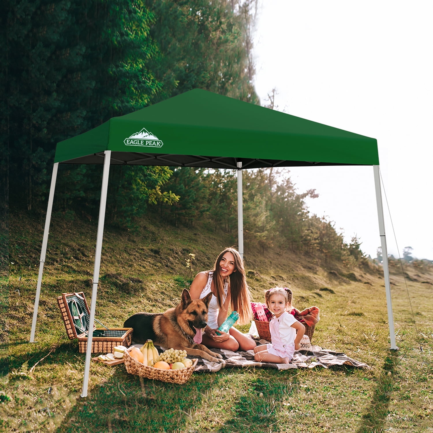 Green 10x10 Steel Portable Pop-Up Canopy Tent