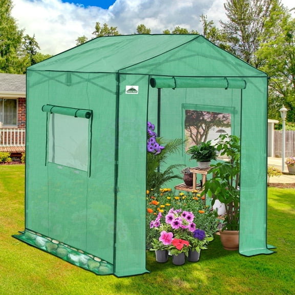 EAGLE PEAK 6x6 Portable Pop Up Greenhouse, Patented Center Lock, Walk-in Outdoor Greenhouse with  Zippered Doors & Windows, Green