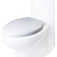 EAGO R309SEAT Replacement Soft Closing Toilet Seat for TB309, White