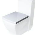 thumbnail image 1 of EAGO R-336SEAT Replacement Soft Closing Toilet Seat for TB336, 1 of 4