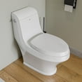 thumbnail image 1 of EAGO TB133 Single Flush One Piece Ceramic Toilet, 1 of 8