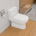 thumbnail image 1 of EAGO TB351 DUAL FLUSH ONE PIECE ECO-FRIENDLY HIGH EFFICIENCY LOW FLUSH CERAMIC TOILET, 1 of 4