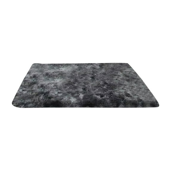 EARKITY Floor Carpet, Area Rugs, Plush Area Rugs, Fluffy Runner Rug, Shaggy Rug, Bedside Rug for Kids Boys Room Home Decor