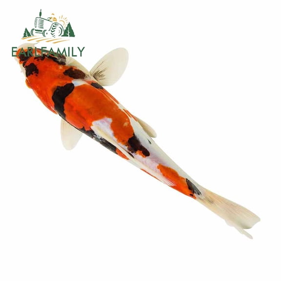 EARLFAMILY 5.1 Inch  Koi Fish Carpe Diem Tattoo Skull Personality Car Stickers DIY 3D RV ATV Graphics Decoration Decal