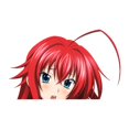 thumbnail image 1 of EARLFAMILY 5.1 Inch Personalized Gremory Rias Peeker Sticker for Windshield Tumbler Motorcycle Waterproof Car Accessories, 1 of 4