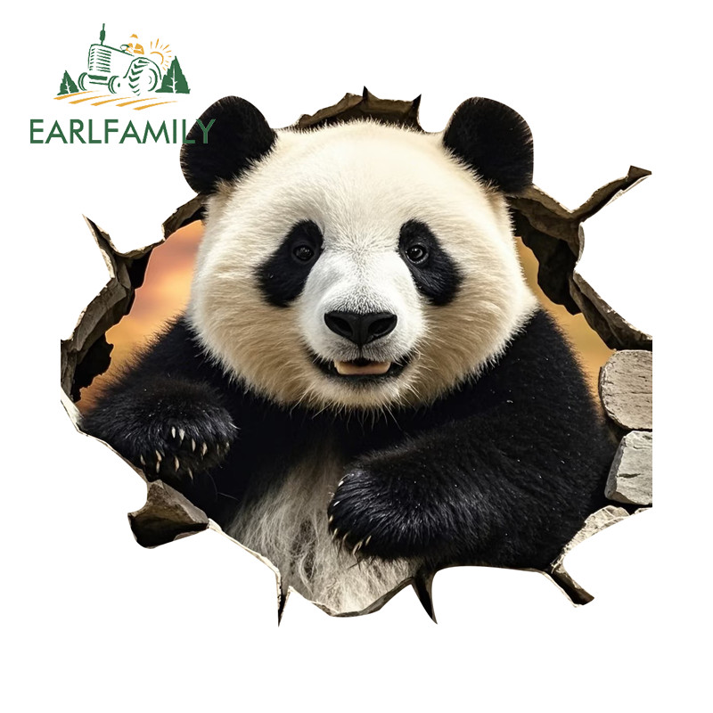 EARLFAMILY 5.1