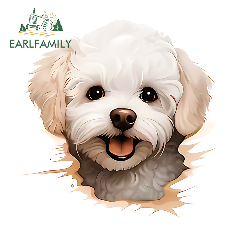 EARLFAMILY 5.1