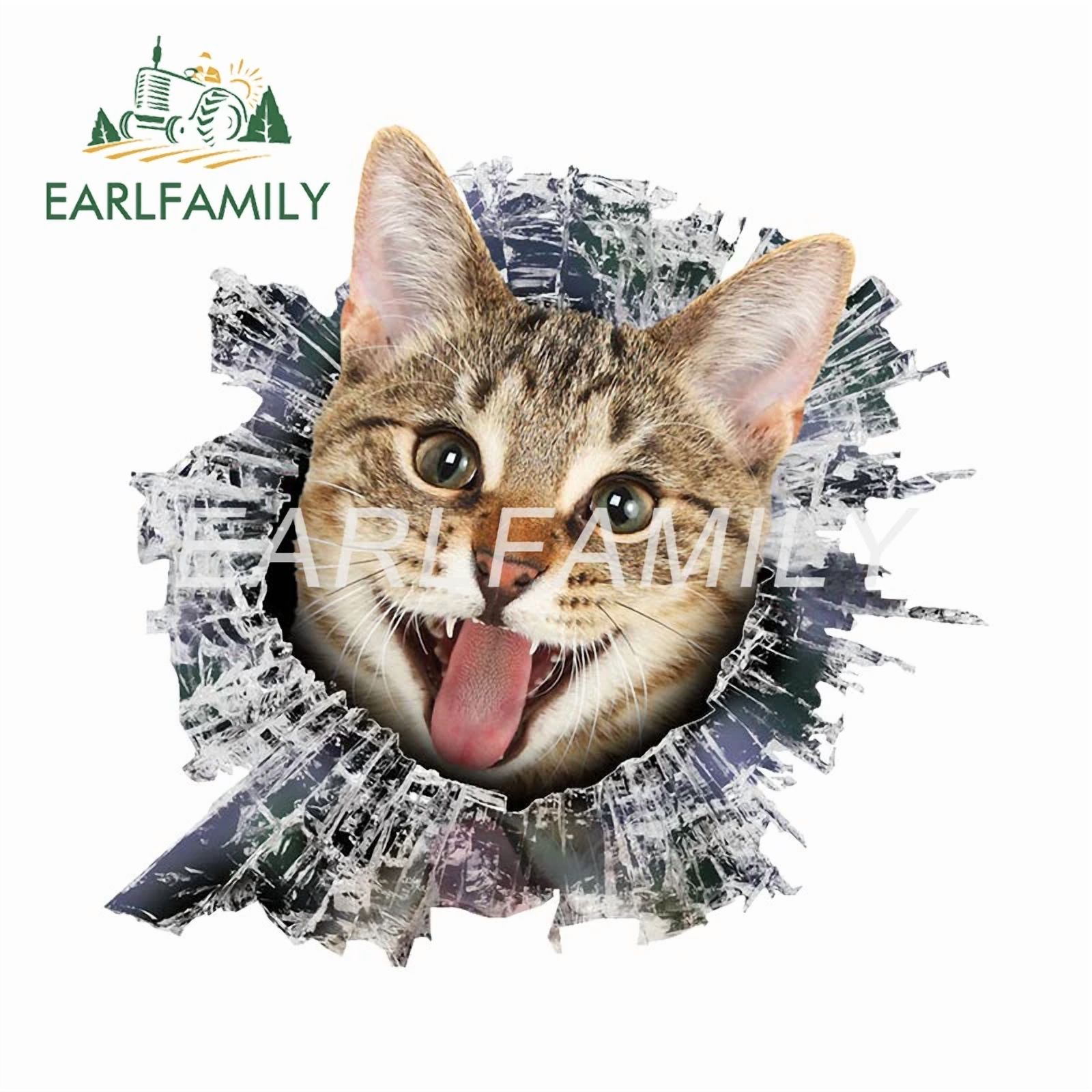 EARLFAMILY 5.1
