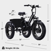 EASINGO 500W Electric Trike for Adults, 48V 20Ah Lithium Battery, 7 Speed 3-Wheel E-Bike with 20" Tires, Rear Basket, BLACK