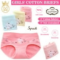 thumbnail image 1 of EASTIN 5 Pack Little Girls Soft Briefs, Toddler Soft Cotton Underwear Baby Panties, Little Girls' Assorted Briefs, Pink, 1 of 6