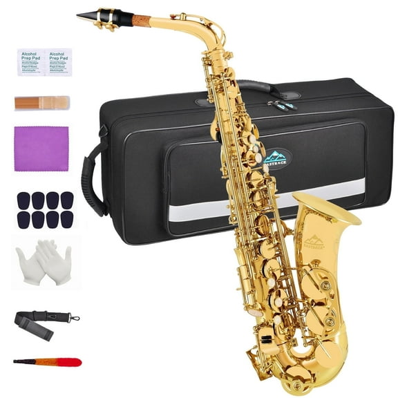 EASTROCK Eb Alto Saxophone H68 Brass Body Anti-Skid Mother of Shell Keys with Hard Case Full Set Accessories Gold
