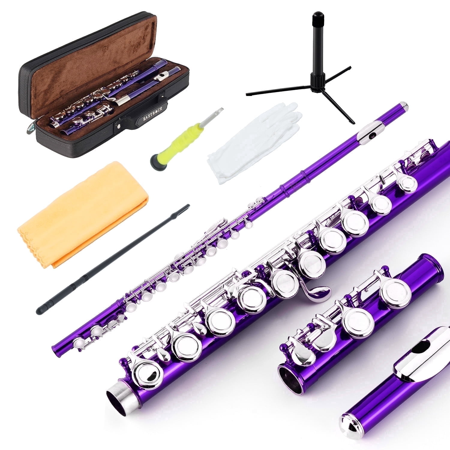 EASTROCK Closed Hole Nickel Plated Flute Soprano Recorder in C 16 with Professional Care Set for School Ensembles and Beginners Purple